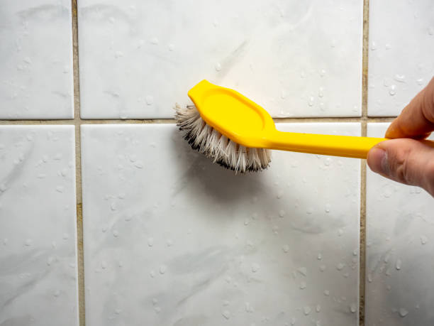 Best Certified Mold Removal  in Littleton, CO