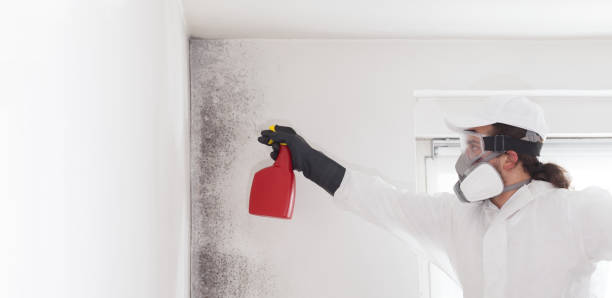 Best Residential Mold Removal  in Littleton, CO